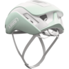 Gamechanger 2.0 pure mint