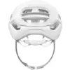 Taipan pure white