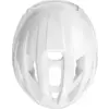 Taipan pure white